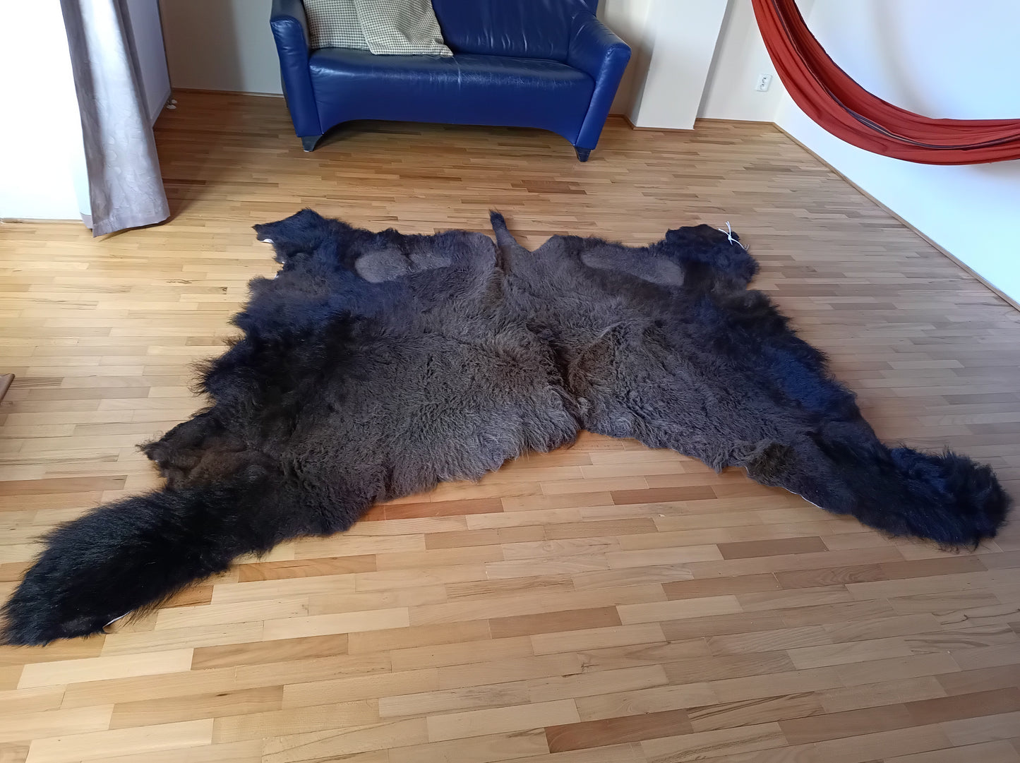 Bison hide