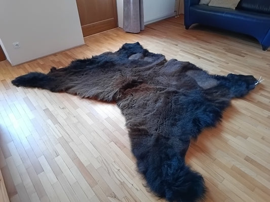 Bison hide